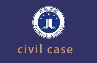 刑事辩护civil case