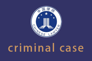 刑事辩护criminal case