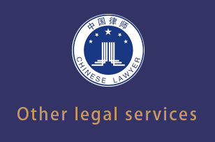 刑事辩护Other legal services
